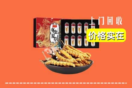 东莞黄江镇回收冬虫夏草